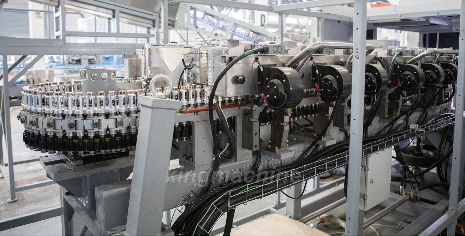 EW3A6953.jpg EW3A6953.jpg